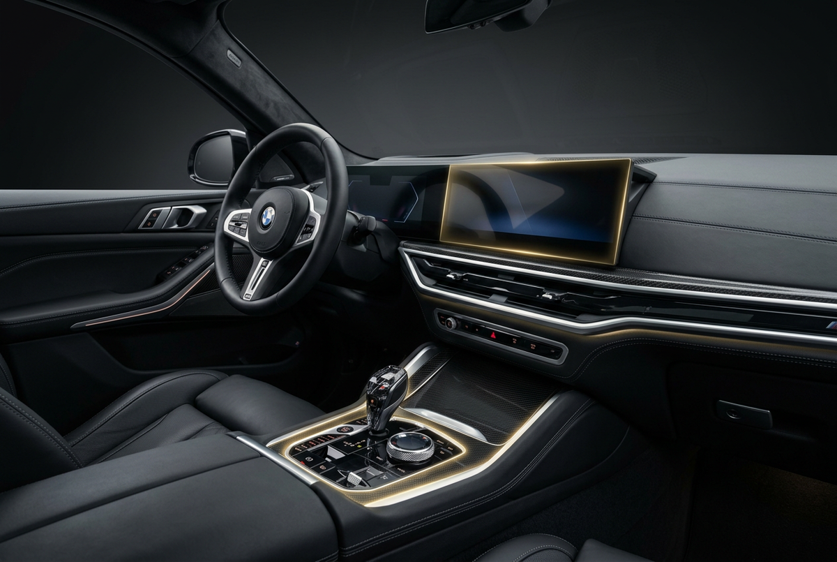 PPF Interior BMW